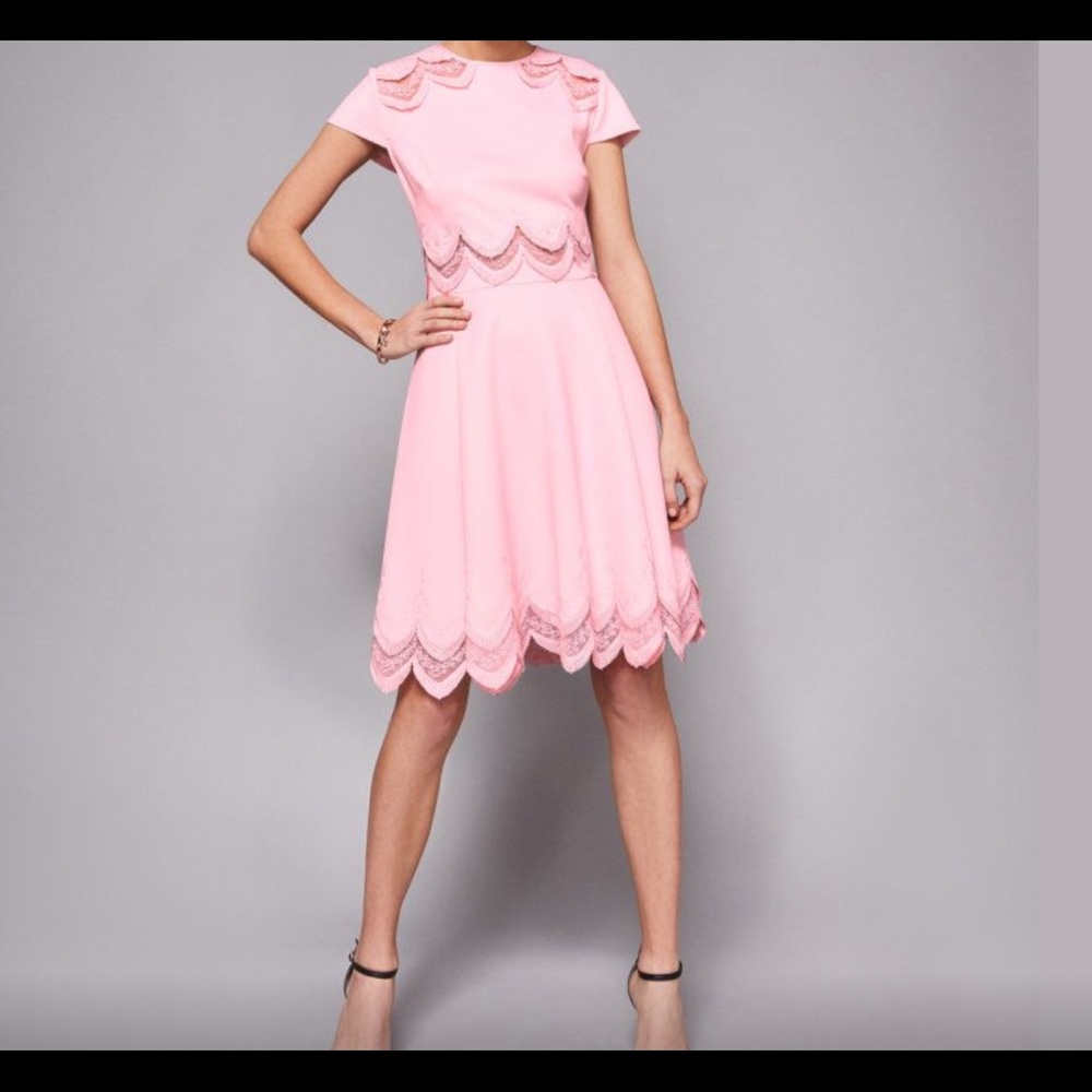 Ted Baker Rehanna Embroidered Skater Dress Pink